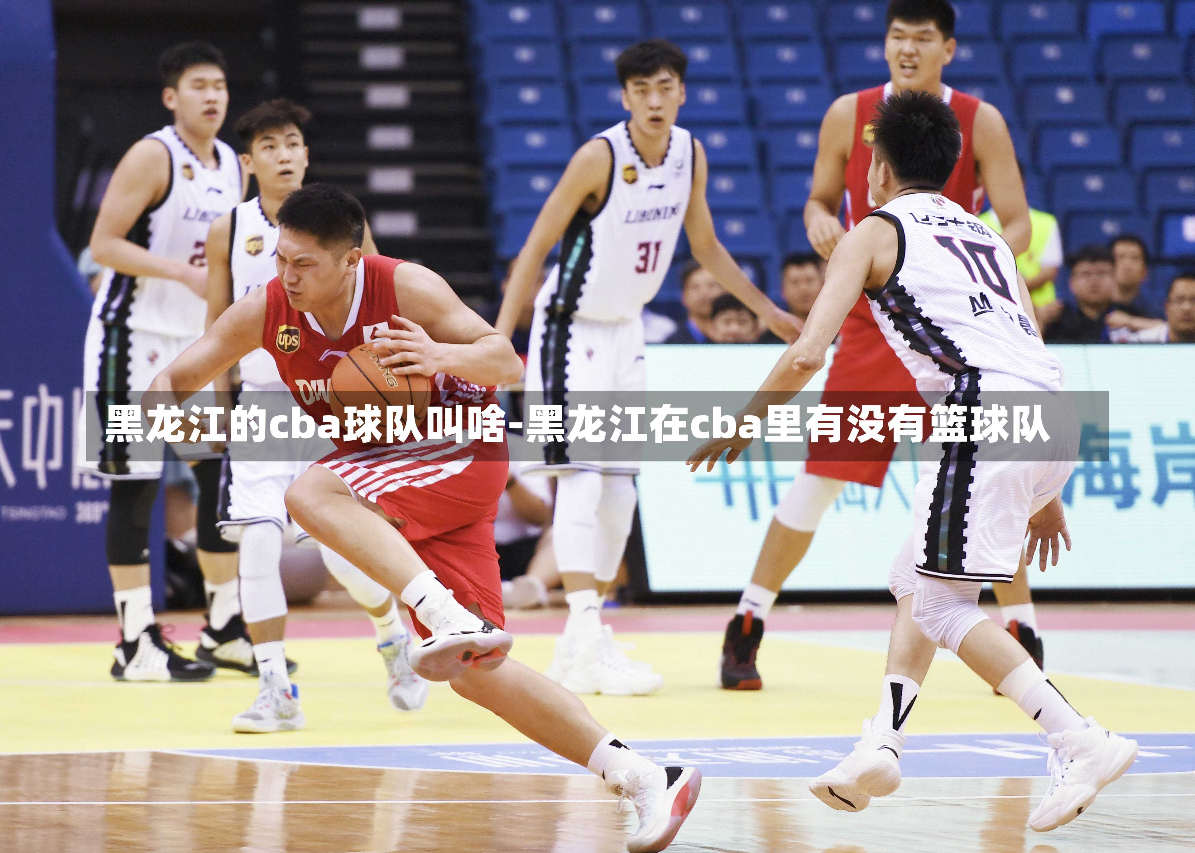 黑龙江的cba球队叫啥-黑龙江在cba里有没有篮球队