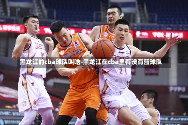 黑龙江的cba球队叫啥-黑龙江在cba里有没有篮球队