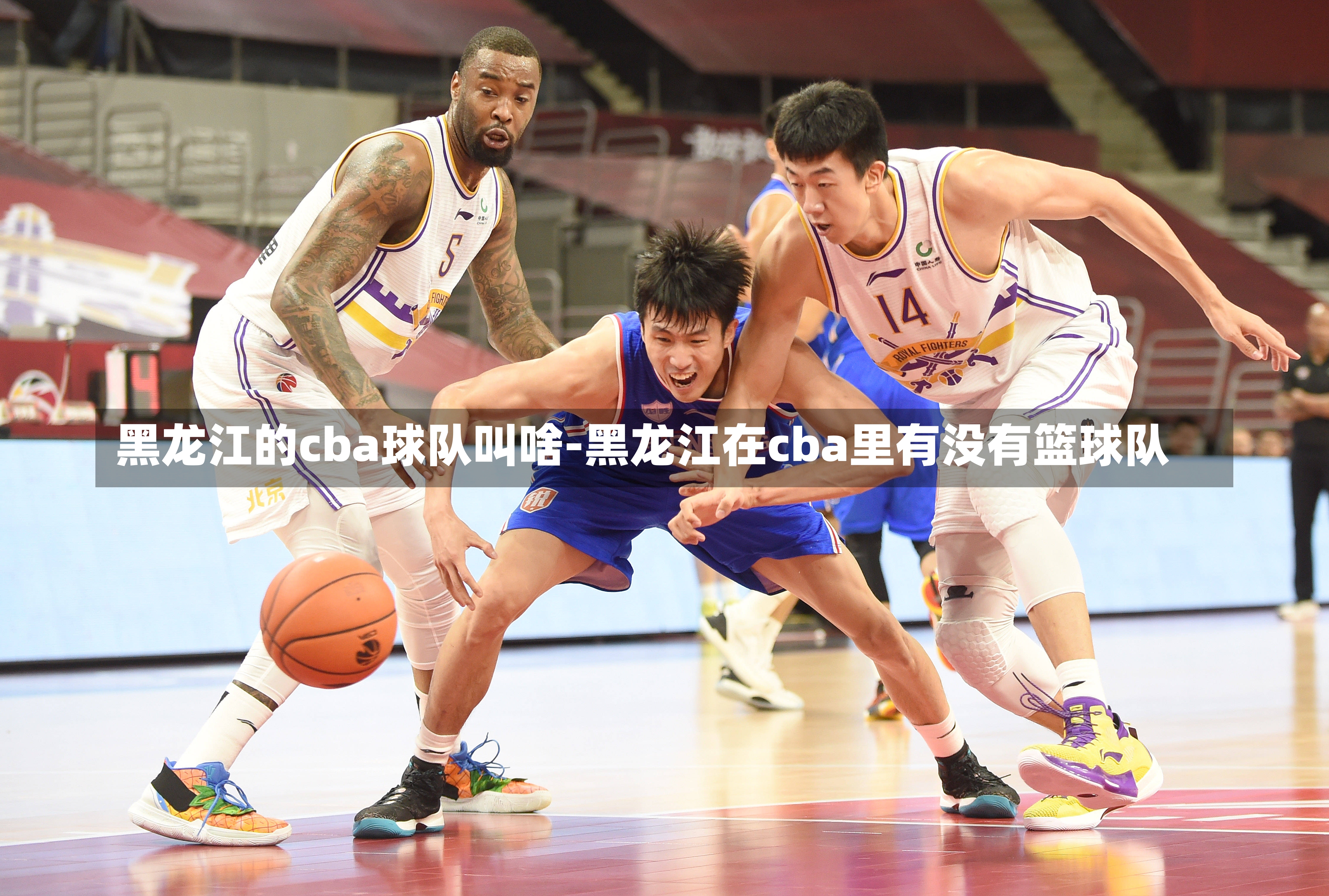 黑龙江的cba球队叫啥-黑龙江在cba里有没有篮球队
