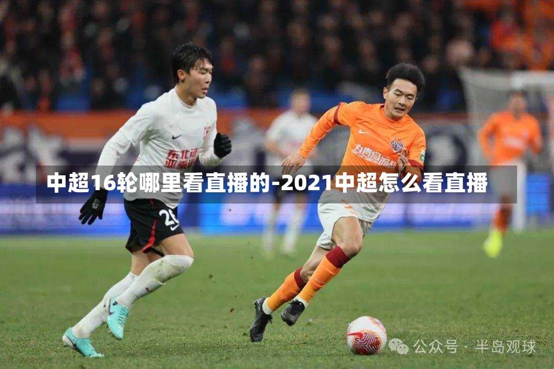 中超16轮哪里看直播的-2021中超怎么看直播