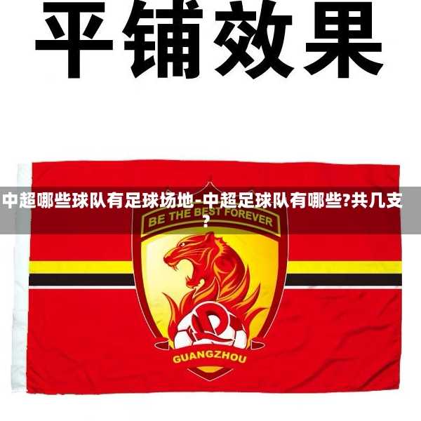 中超哪些球队有足球场地-中超足球队有哪些?共几支?
