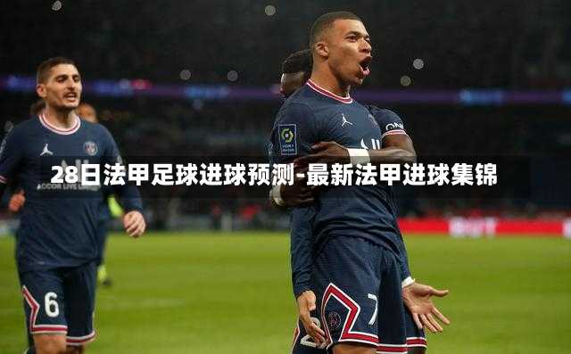 28日法甲足球进球预测-最新法甲进球集锦