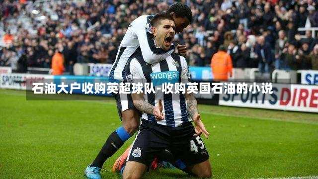 石油大户收购英超球队-收购英国石油的小说