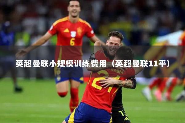 英超曼联小规模训练费用（英超曼联11平）