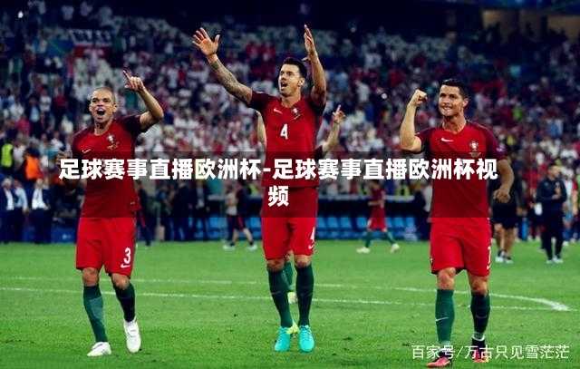 足球赛事直播欧洲杯-足球赛事直播欧洲杯视频