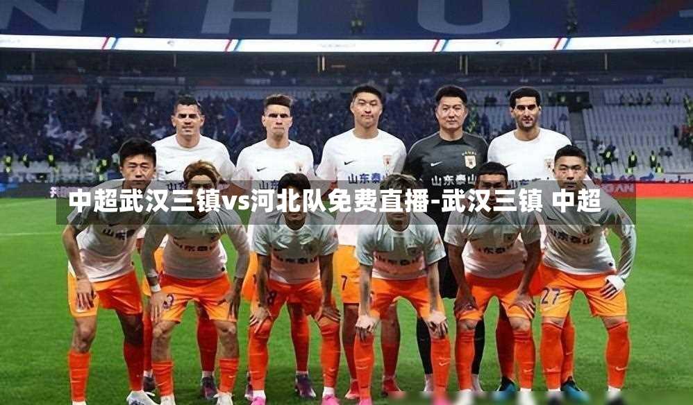中超武汉三镇vs河北队免费直播-武汉三镇 中超