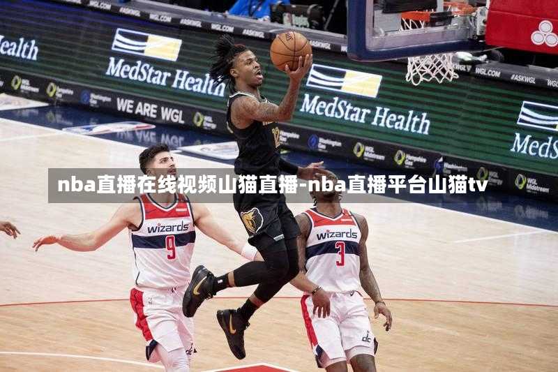 nba直播在线视频山猫直播-nba直播平台山猫tv