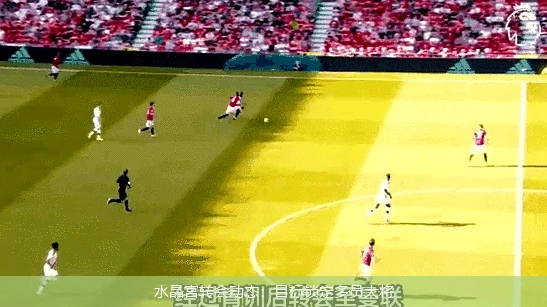 水晶宫转会动态：目标锁定多员大将