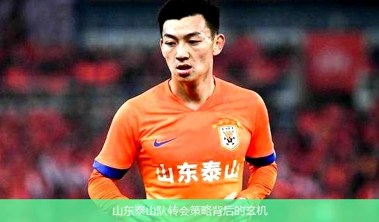 山东泰山队转会策略背后的玄机
