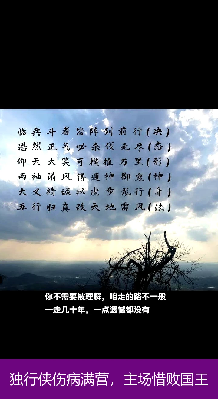 独行侠伤病满营，主场惜败国王