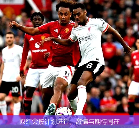 双红会按计划进行，激情与期待同在