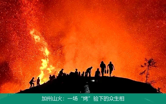 加州山火：一场“烤”验下的众生相