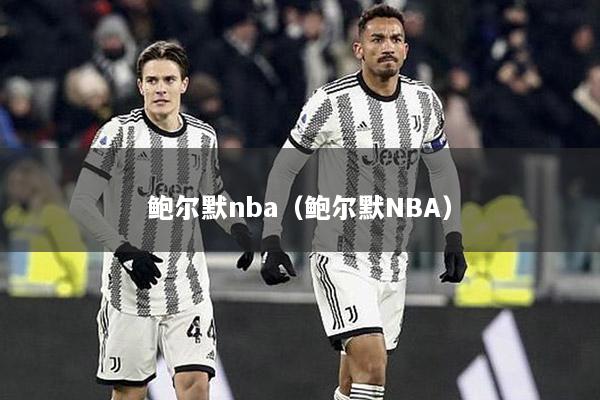鲍尔默nba（鲍尔默NBA）