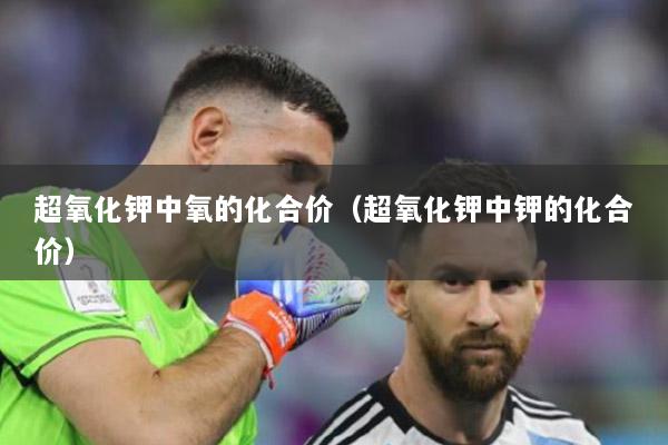 超氧化钾中氧的化合价（超氧化钾中钾的化合价）
